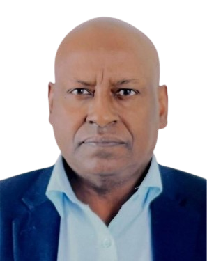 Prof. Degefa Tolossa Degaga